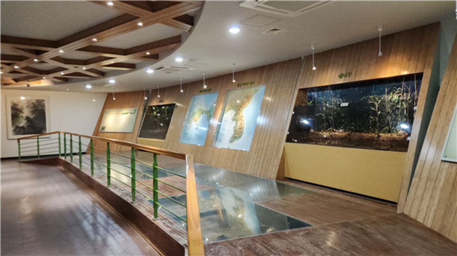 담양 한국대나무박물관 이미지 5