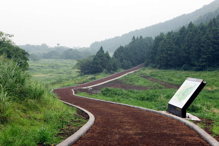 거문오름 [세계자연유산] 이미지 5