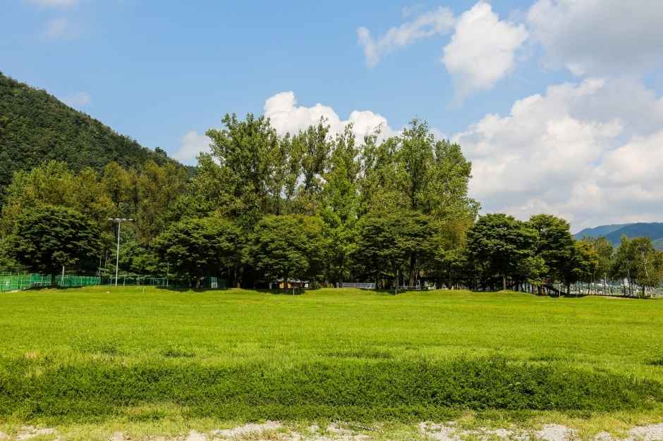 붕어섬 이미지 6