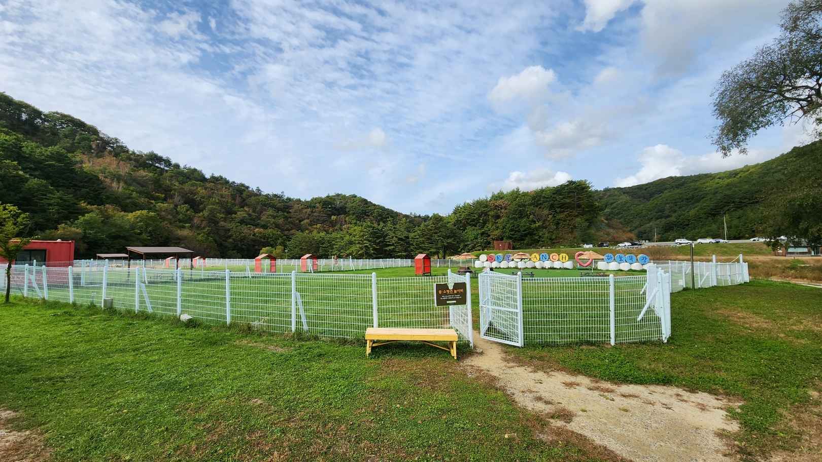 대관령 하늘목장 이미지 3