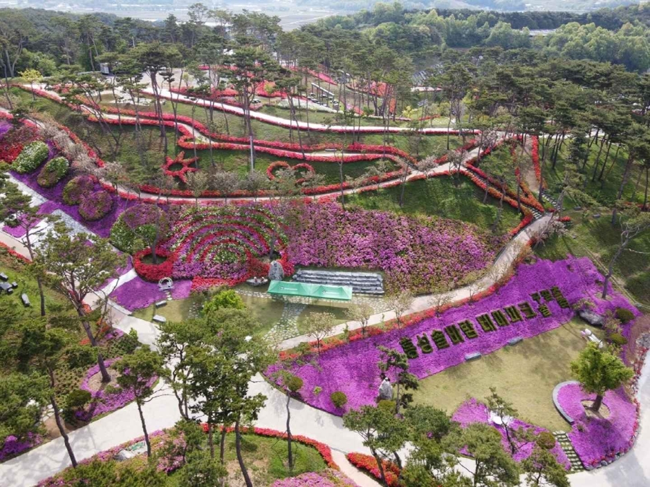 홍성솔바람테마파크 이미지 1