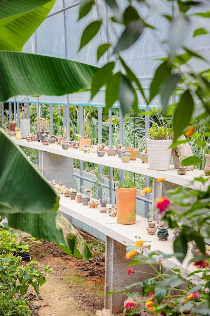 4est 수목원 이미지 4