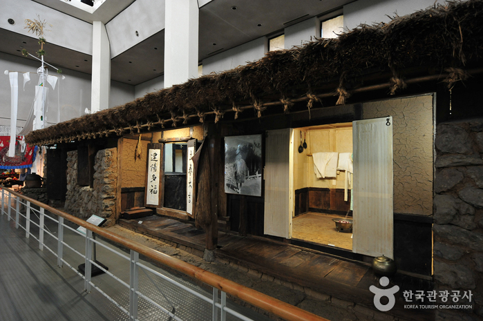 제주도민속자연사박물관 이미지 7