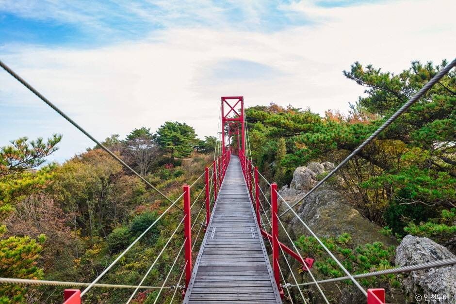 옹진군 부아산 구름다리 이미지 1