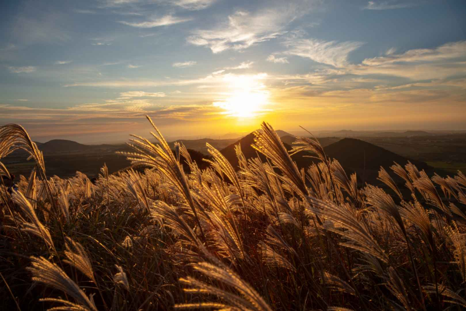 새별오름 이미지 5