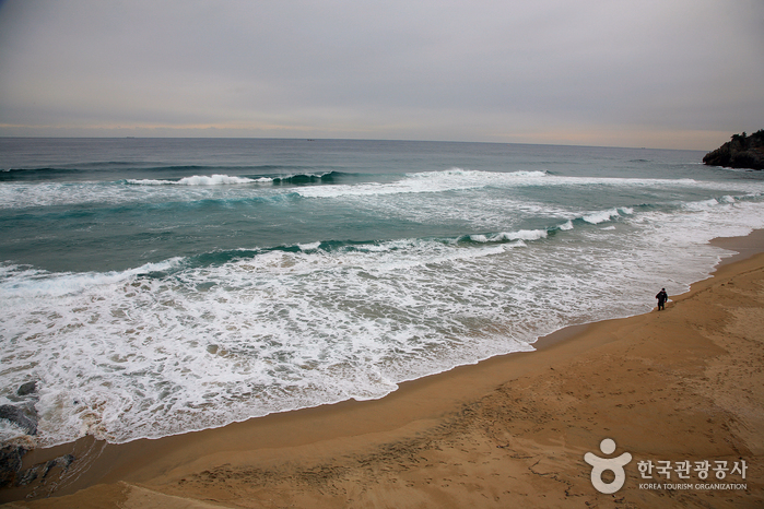 증산해변(증산 해수욕장) 이미지 7