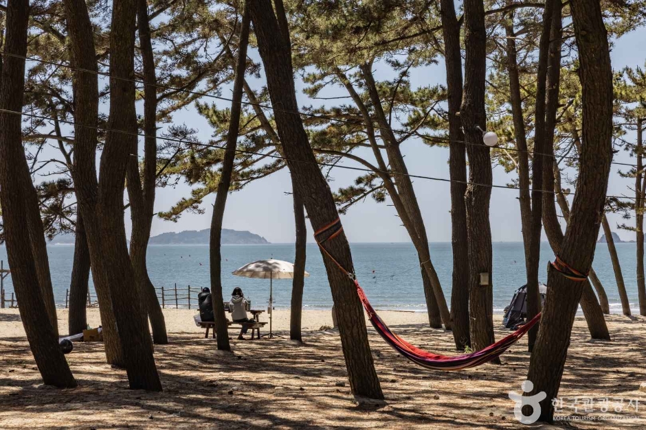 갈음이해수욕장 이미지 7