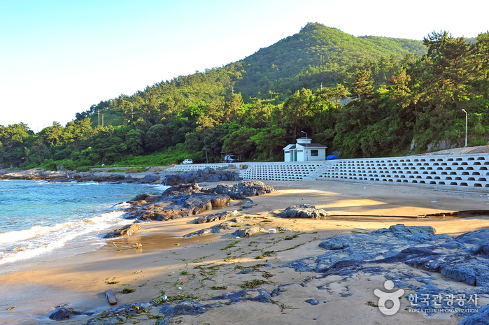 신덕해수욕장 / 신덕해변 이미지 2