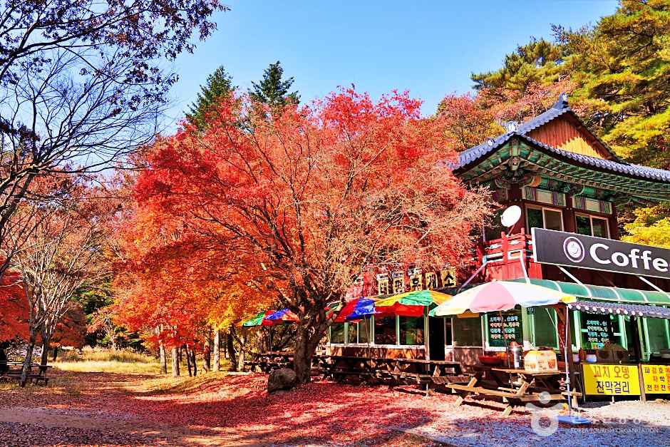 보은 속리산세조길 이미지 7