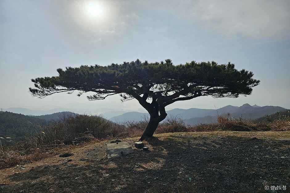 불모산노을전망대 이미지 5