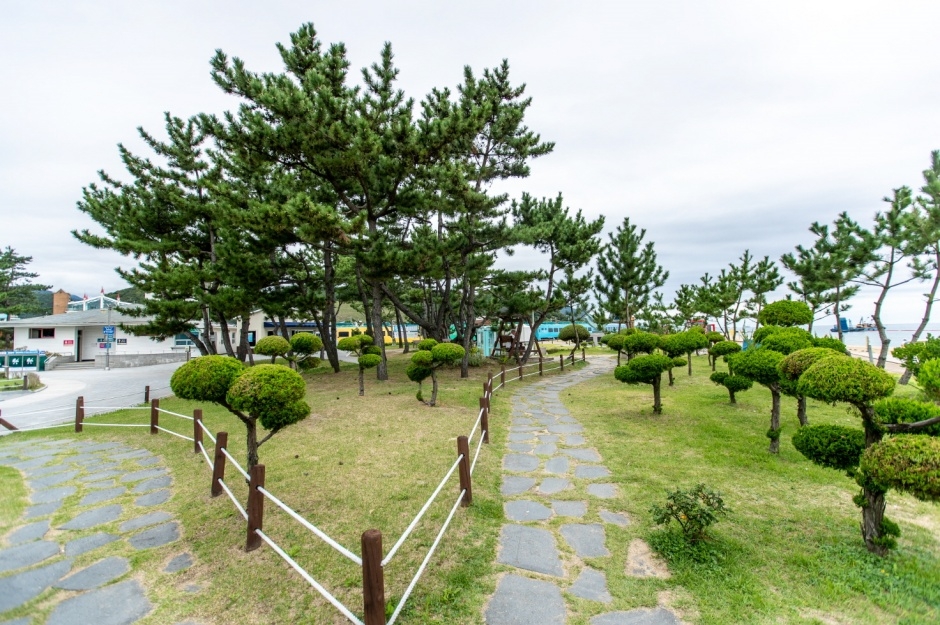강릉 모래시계공원 이미지 8