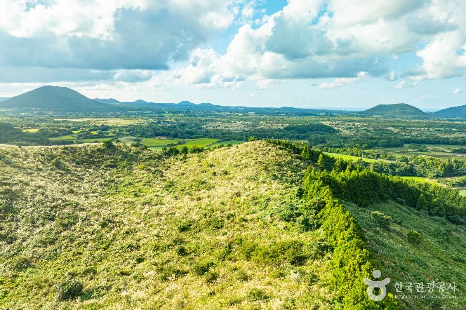 제주 손지오름 이미지 5