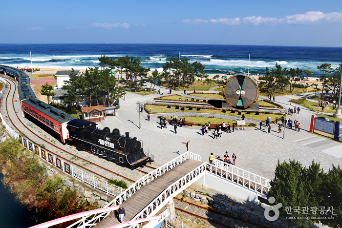 강릉 모래시계공원 이미지 3