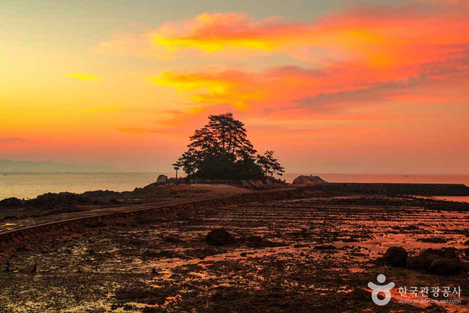 소등섬 이미지 8