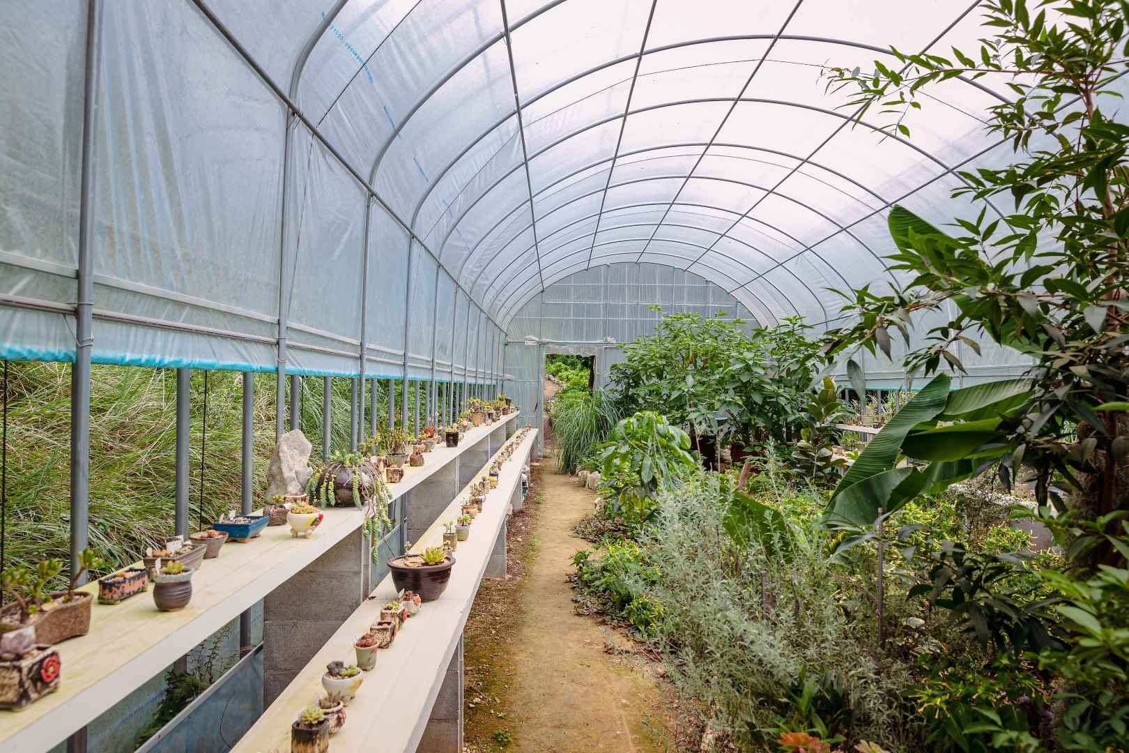 4est 수목원 이미지 2