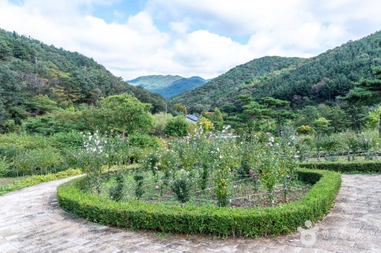 보령 무궁화수목원 이미지 3