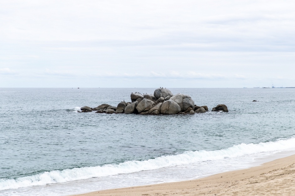 사천해변(사천해수욕장) 이미지 2