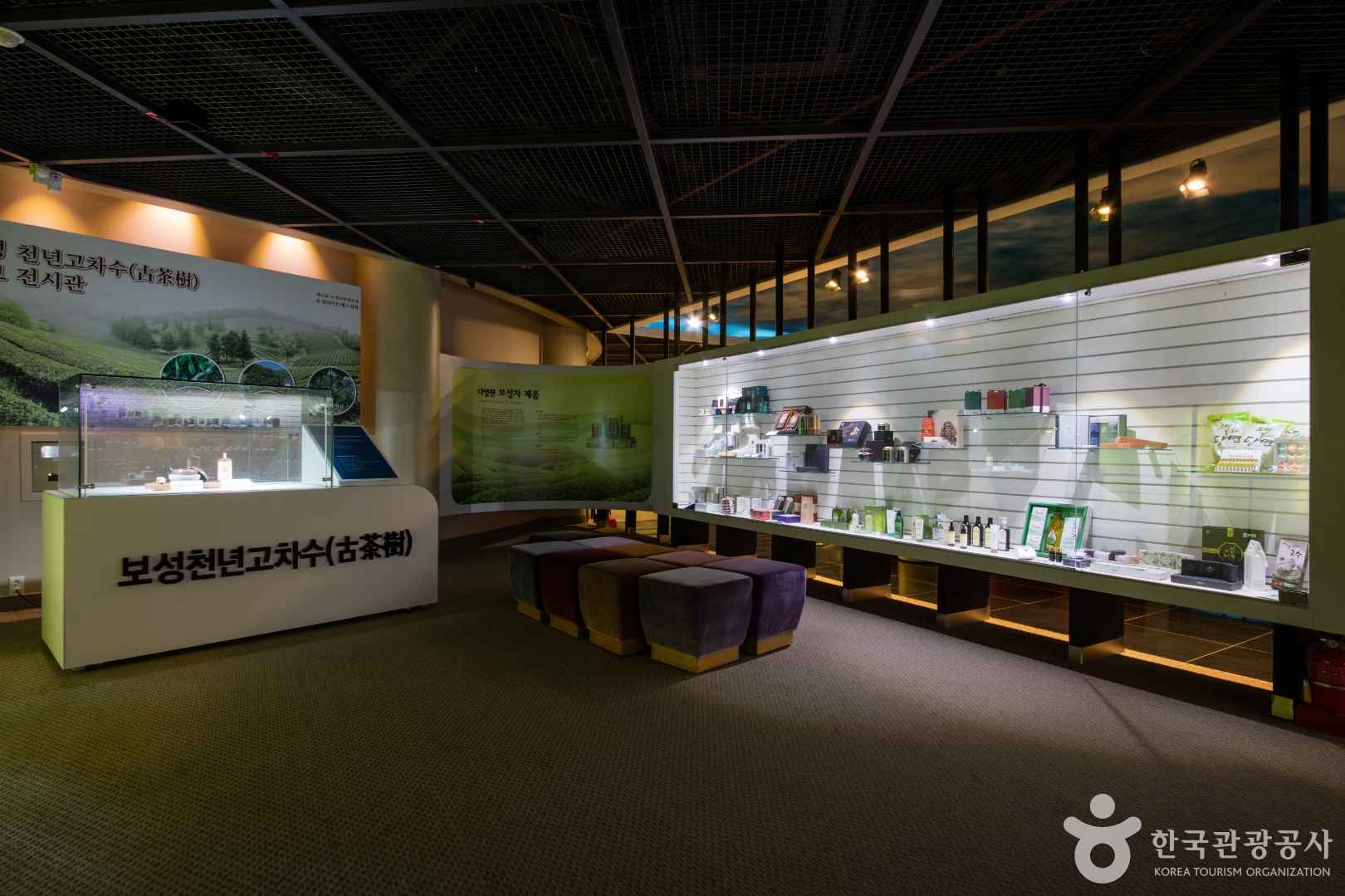 한국차박물관 이미지 4