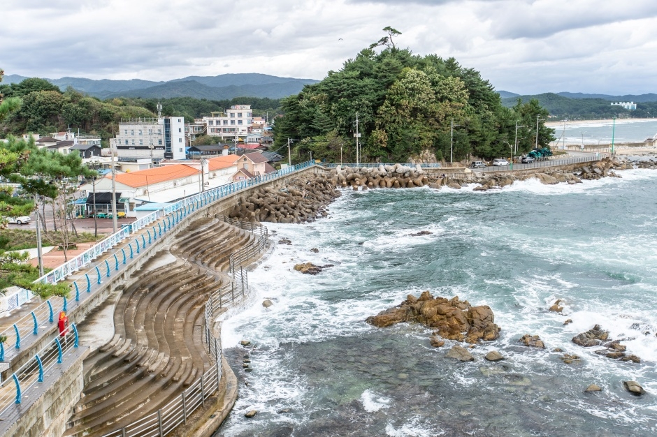 양양 남애항 스카이워크 전망대 이미지 1