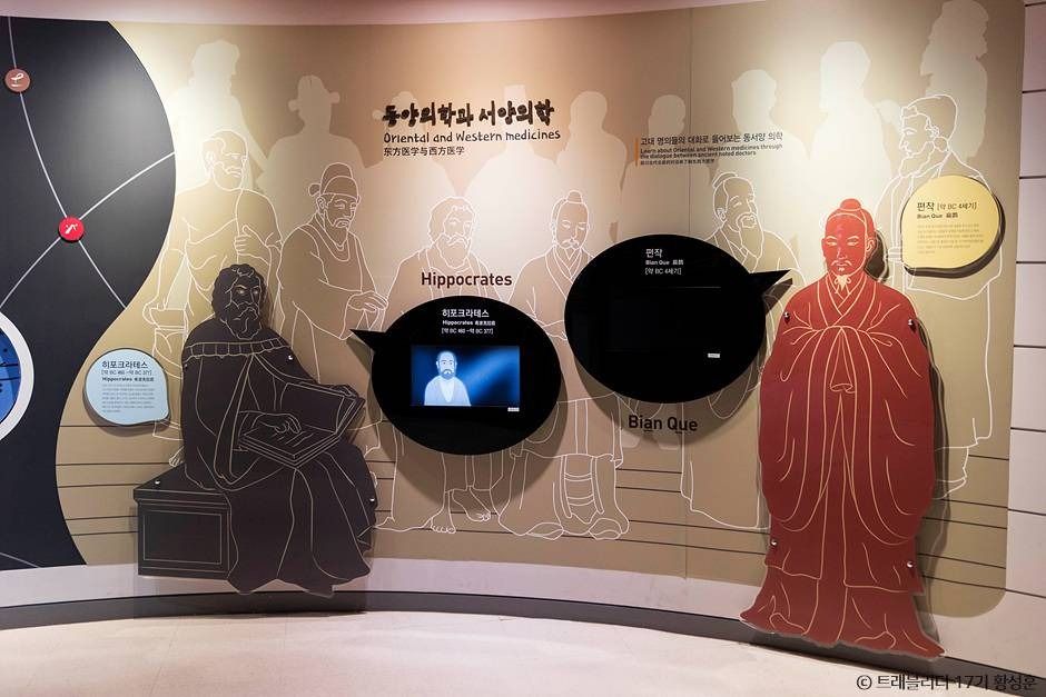 제천 한방엑스포공원 이미지 5