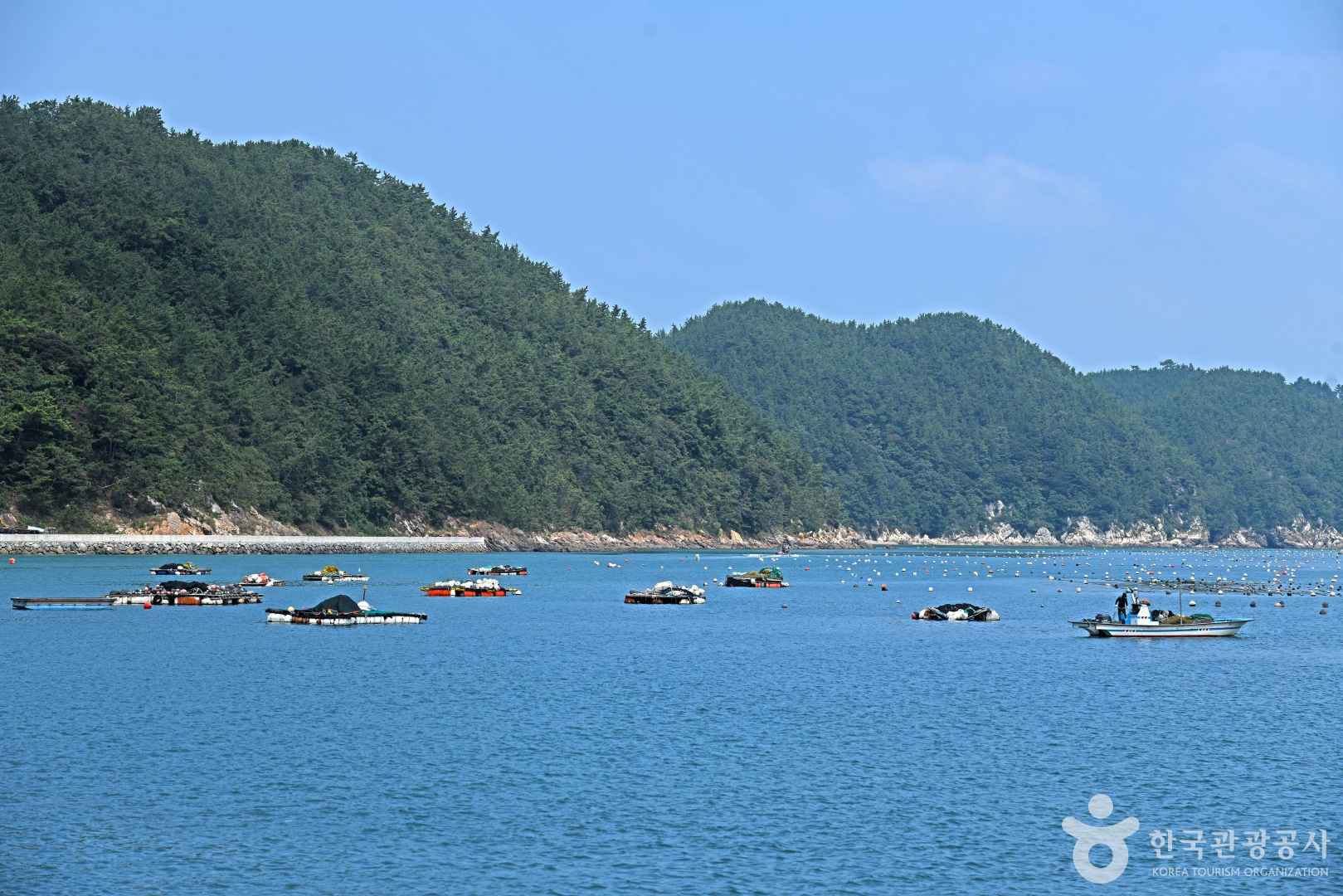 약산도(조약도) 이미지 5