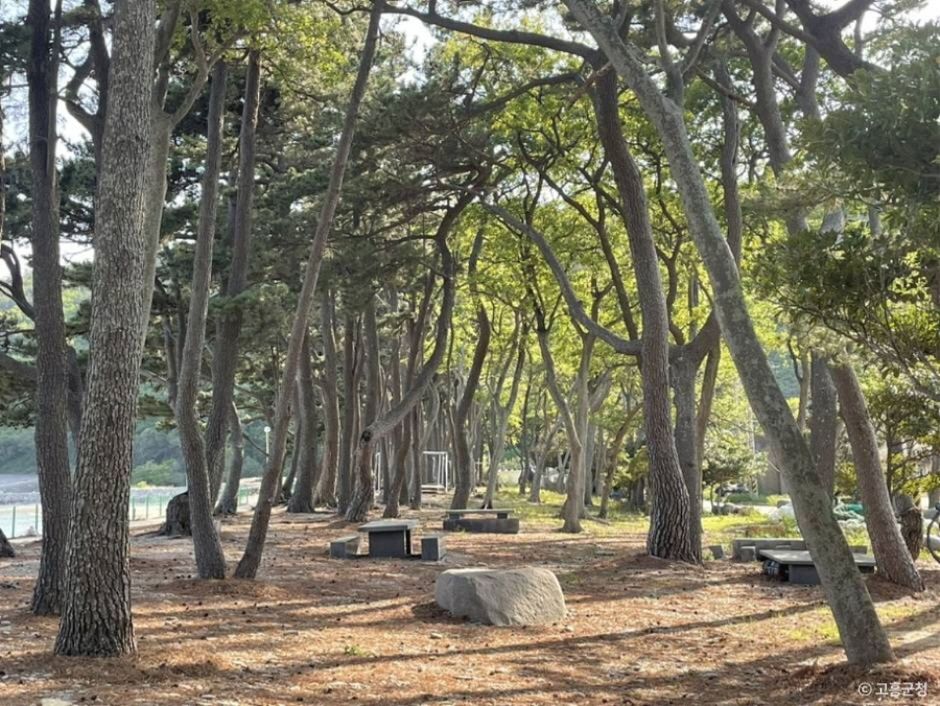 금장해수욕장 이미지 6