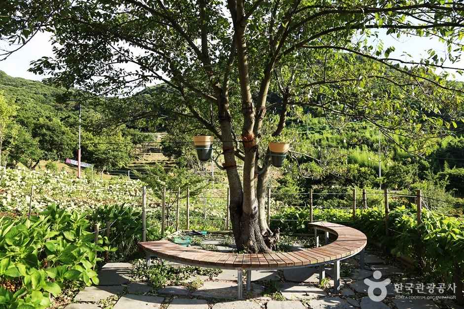 가덕도외양포전망대 이미지 1