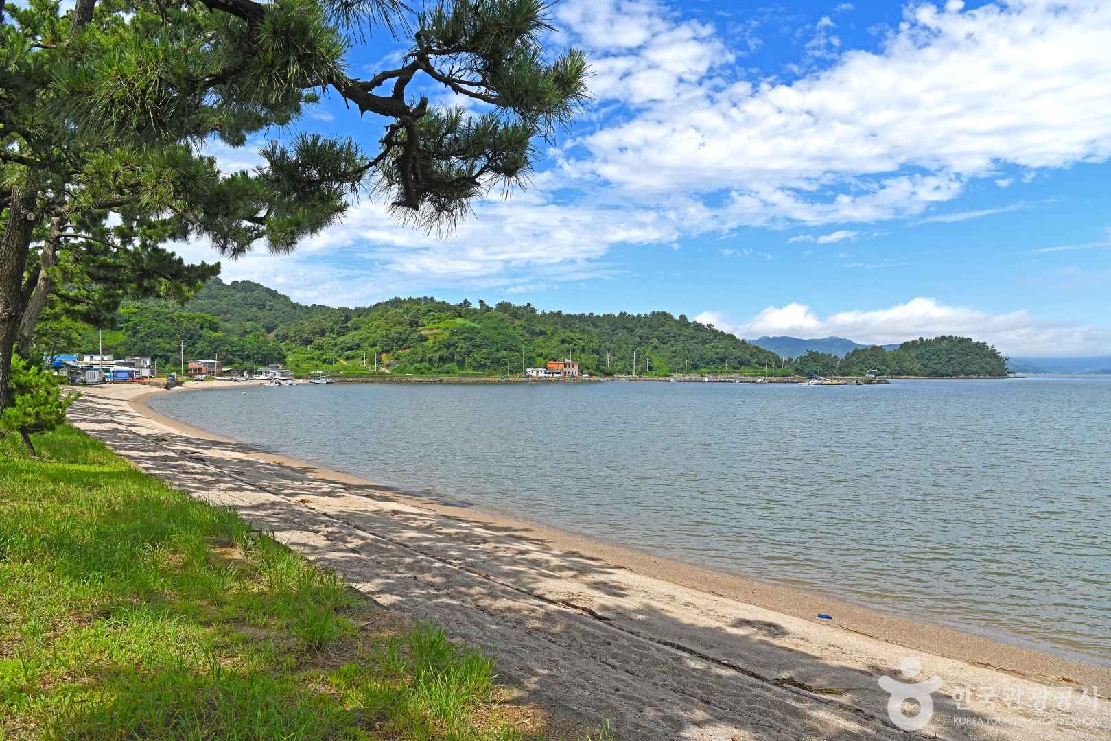 대전해수욕장 이미지 1