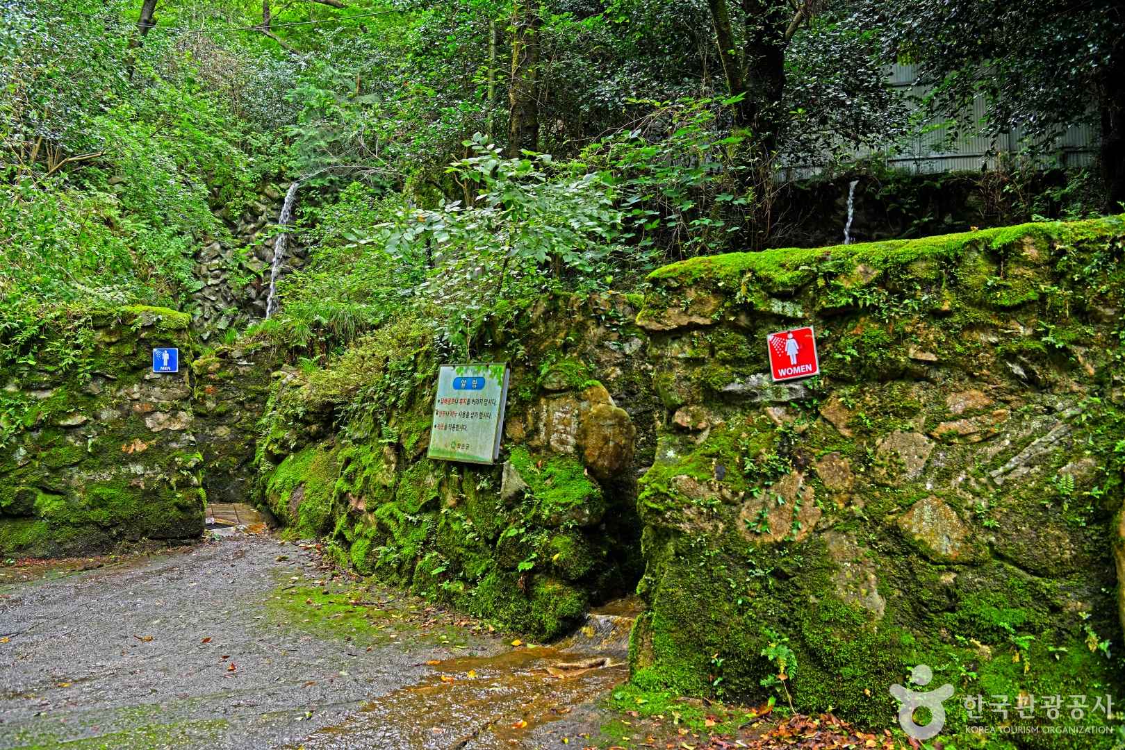 만연폭포 이미지 5