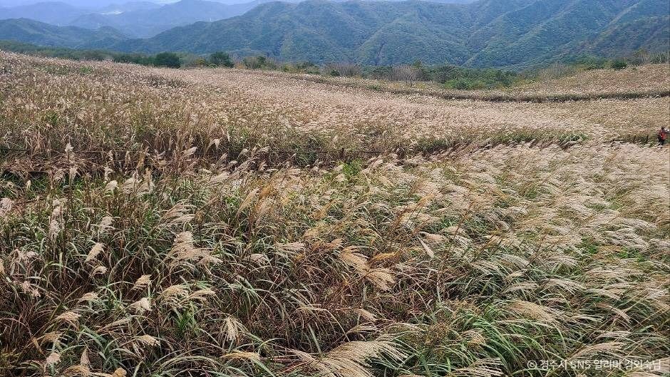 경주 무장산 이미지 2