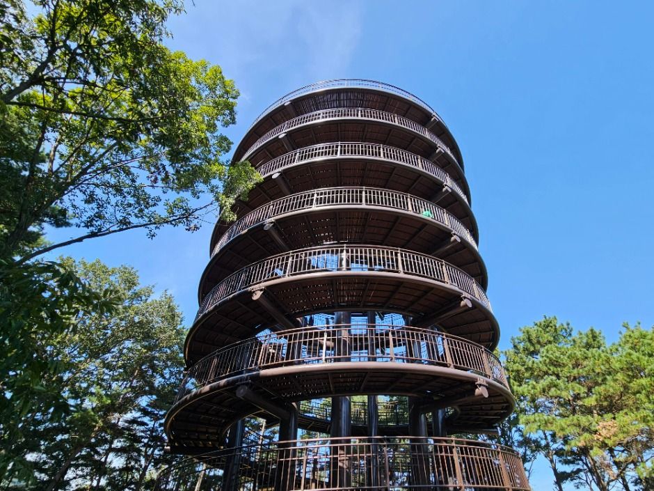 금광호수 이미지 8