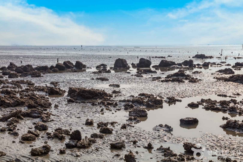 장봉도 한들해수욕장 이미지 3