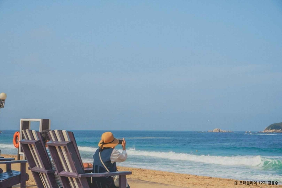 봉포해변 이미지 5