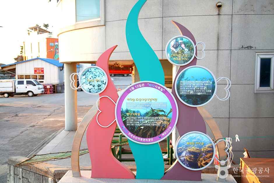 교암해변 이미지 3