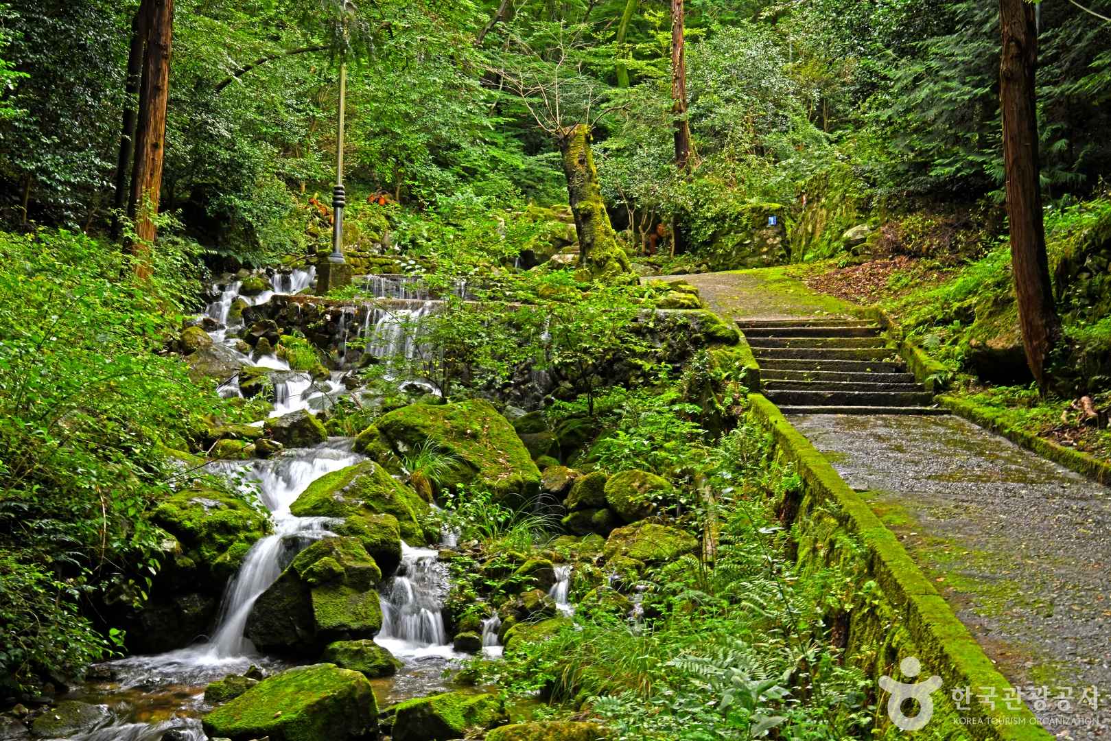 만연폭포 이미지 2