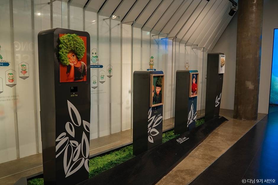 보성 봇재 이미지 2