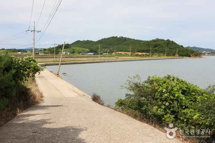 안좌도 이미지 8