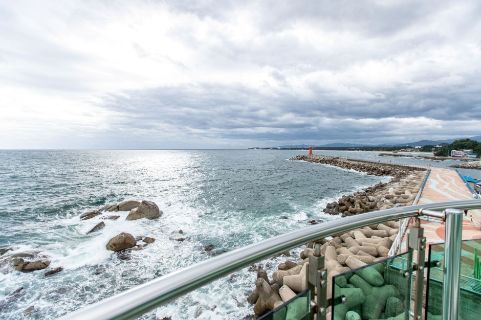 양양 남애항 스카이워크 전망대 이미지 6