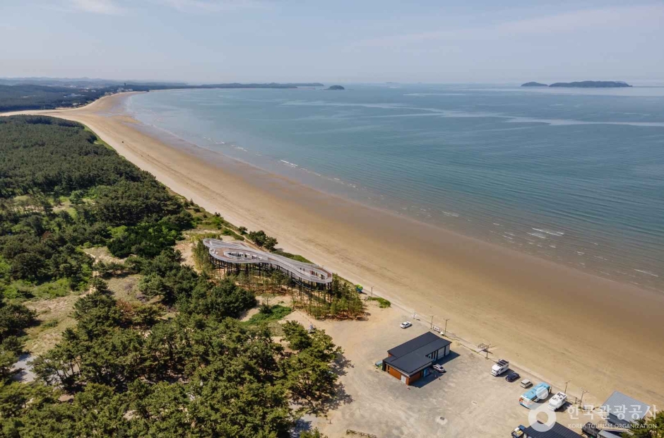 몽산포해수욕장 이미지 5