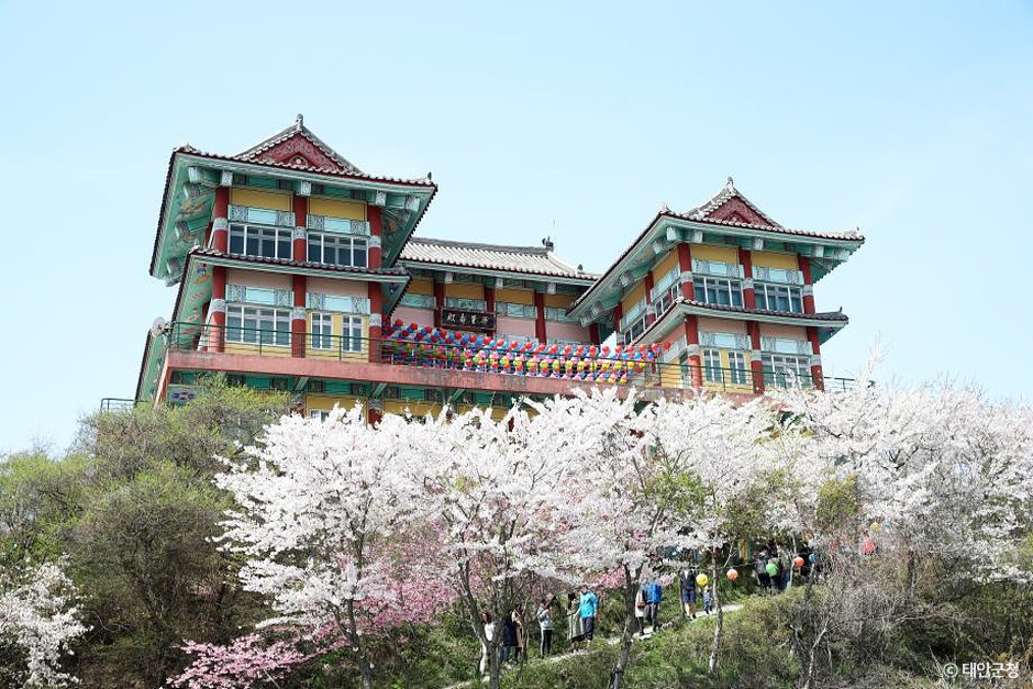 안면암(태안) 이미지 1