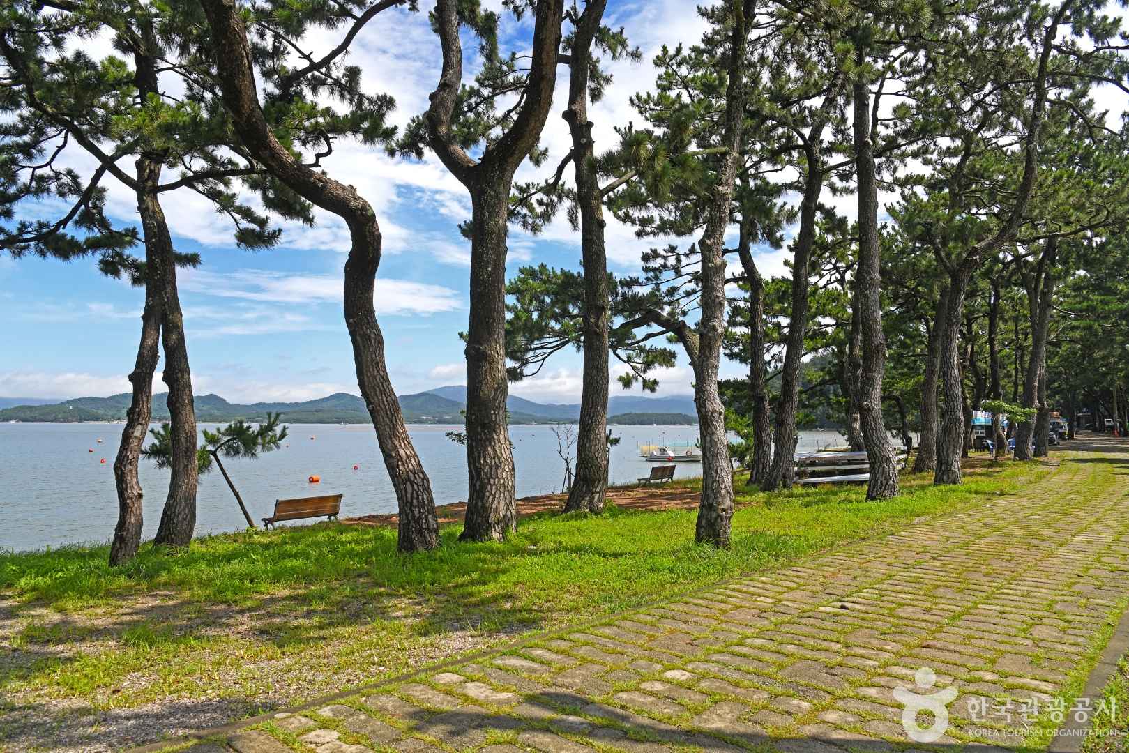 대전해수욕장 이미지 4