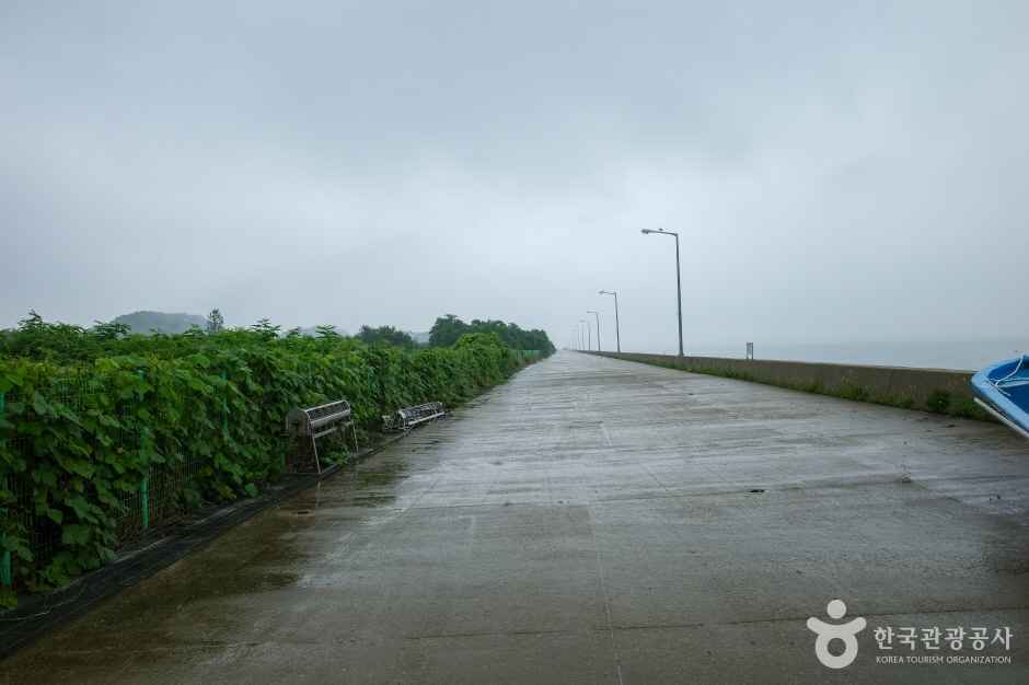 메추리섬 이미지 6