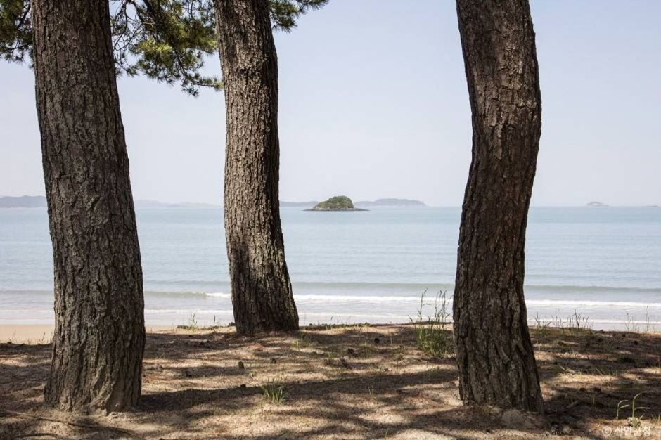 자은 백길해수욕장 이미지 4