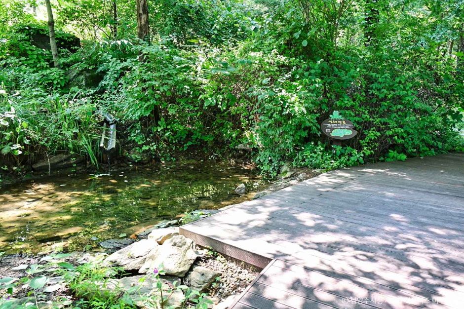 물맑음수목원 이미지 5