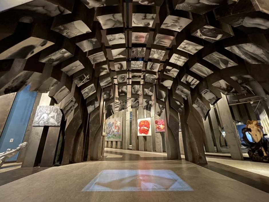 건강과 성 박물관 이미지 7