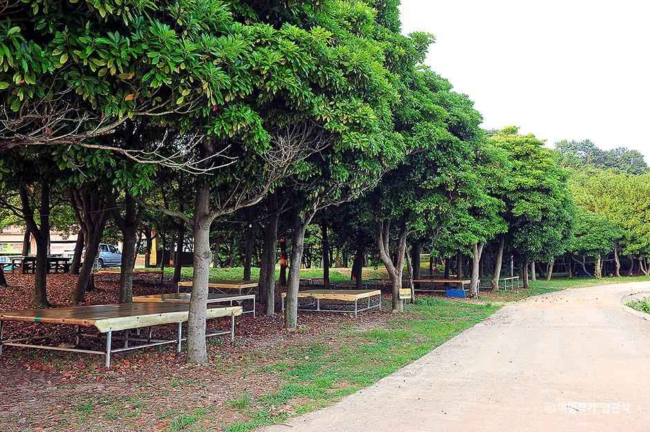 남성리해수욕장 이미지 2