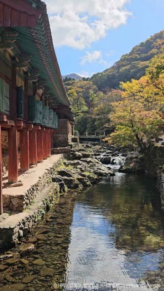 순천 송광사 이미지 7