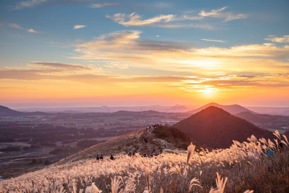 새별오름 이미지 6