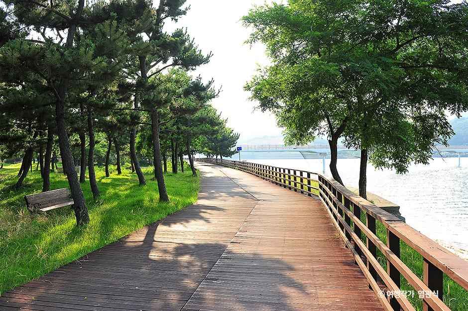 배알도해수욕장 이미지 5