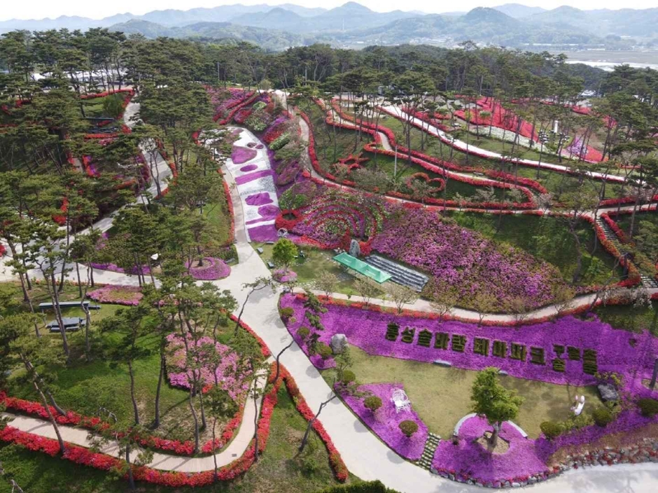 홍성솔바람테마파크 이미지 2